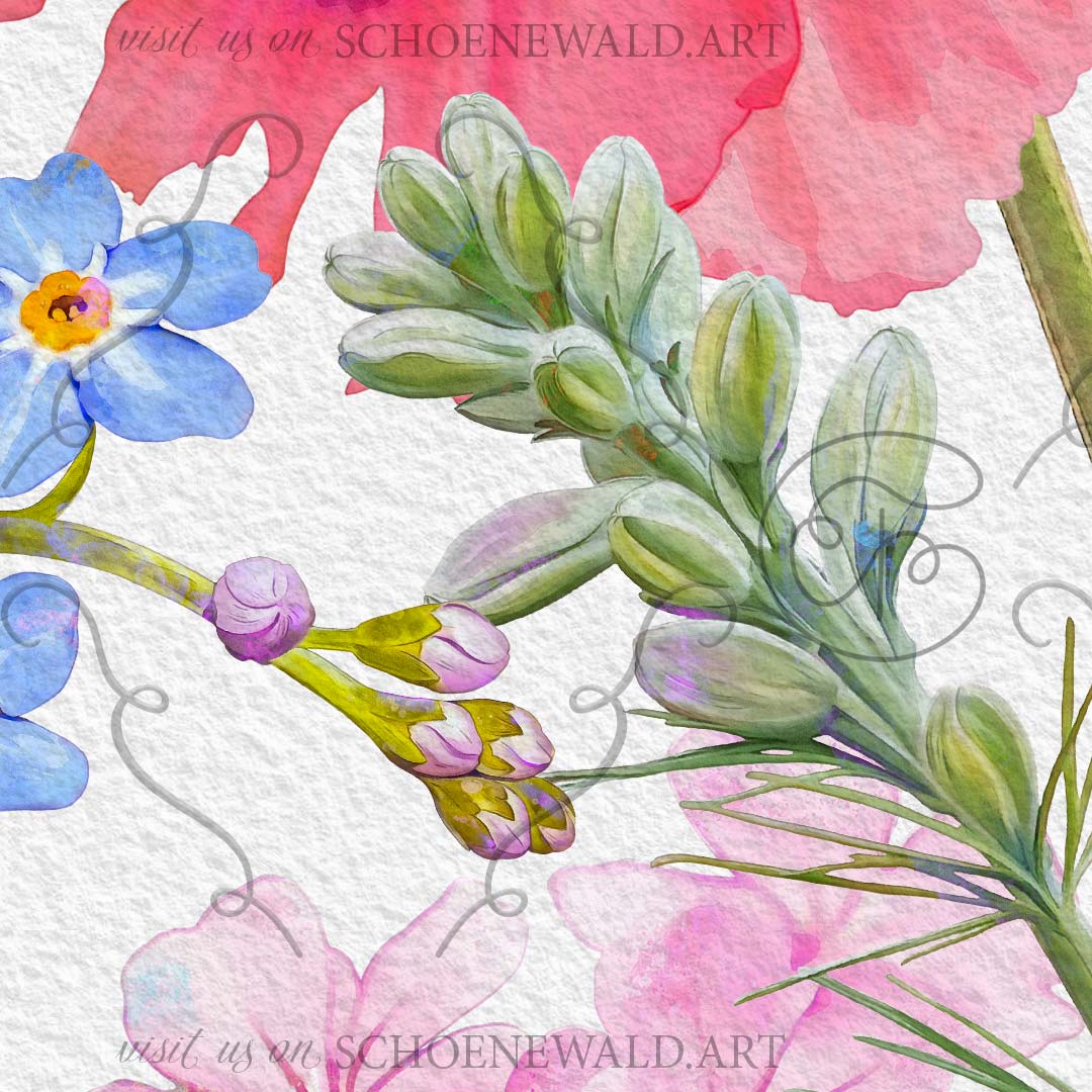 Hand-painted graphic set "Meadow Magic" by Schoenewald.art - unique watercolor paintings of meadow flowers