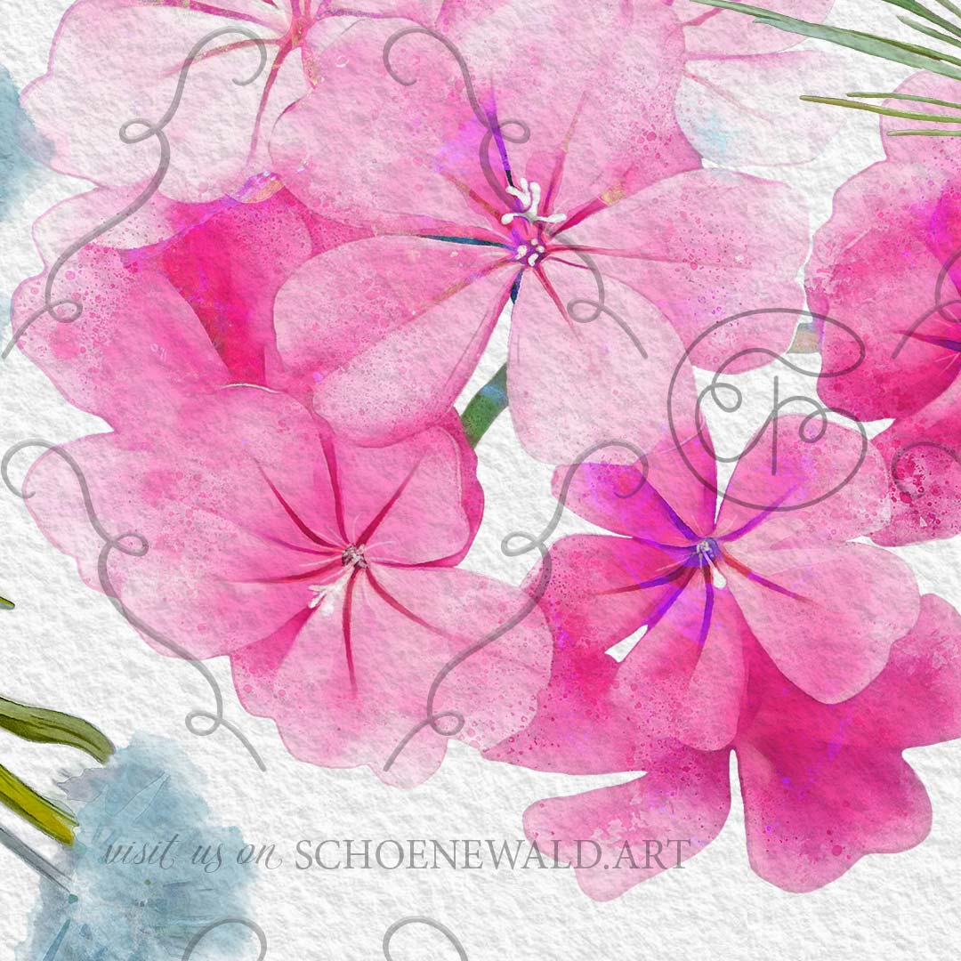 Hand-painted graphic set "Meadow Magic" by Schoenewald.art - unique watercolor paintings of meadow flowers
