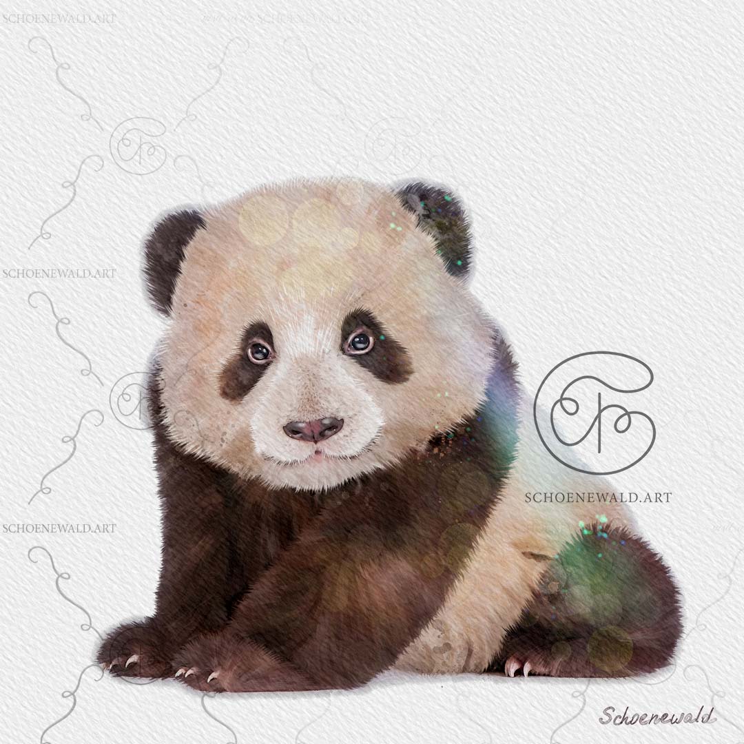 Print of a hand-painted watercolor of a baby panda from the "Baby Animals" series by Schoenewald.art